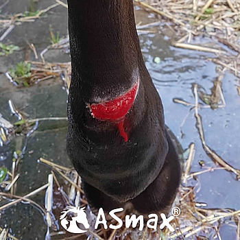 D. und S. Schrewe